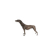 Vintage Bronze Dog Sculpture 72557