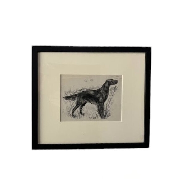 19th Century Sketch of Dog 76570