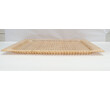 Large French Lucite Tray 65602