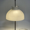 Mid Century French Opaline Desk Lamp 73236