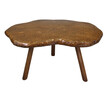 Organic Wood Table 23920