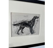 19th Century Sketch of Dog 76570