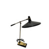 Rare French Desk Lamp 74047