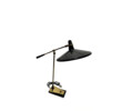 Rare French Desk Lamp 74047