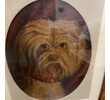 19th Century English Dog Painting/Portrait 65887