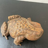 Vintage Japanese Cryptomeria  Carved Frog 59555