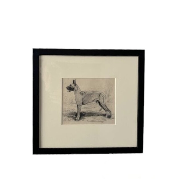 19th Century Sketch of Dog 75471