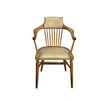 Austrian Secessionist  Arm Chair 73744