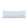 Large 19th Century French Textile Lumbar Pillow 26571
