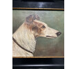 Early 20th Century English Dog Portrait of Sighthound 66041