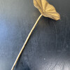 Exceptional 19th Century Gilt Wood Alter Flower 74527