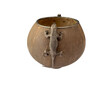 Coconut Gourd with two Silver Lizards 77972