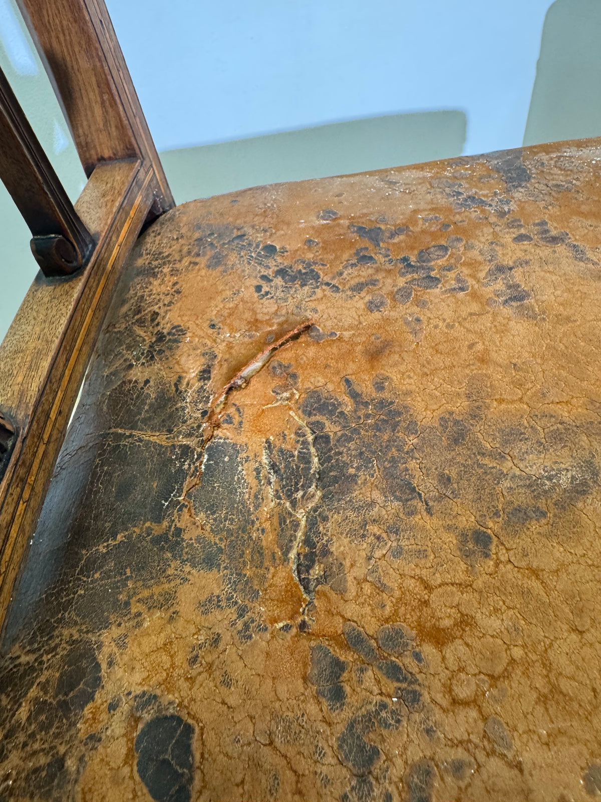 Set of Eight Dining Chairs