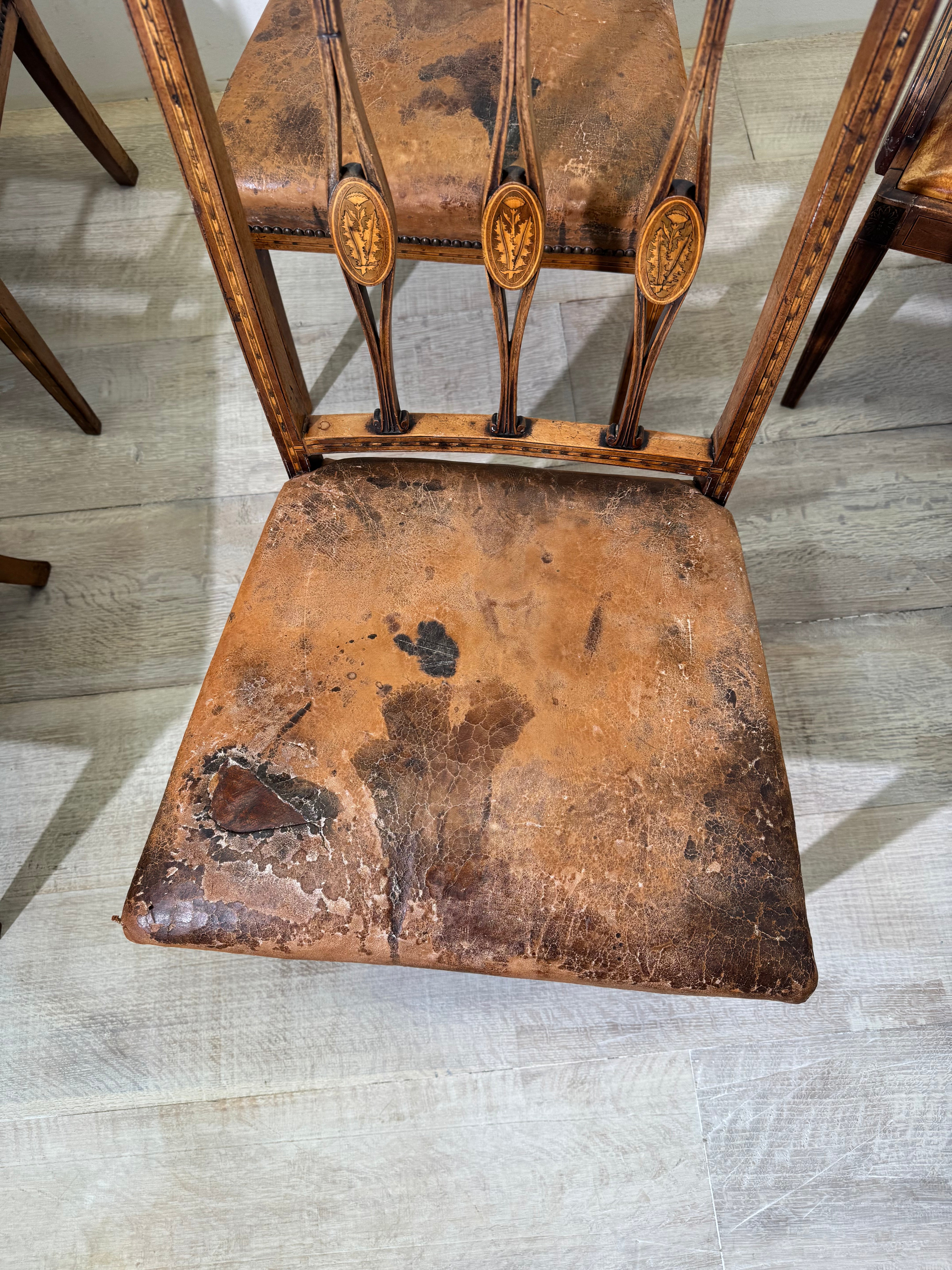 Set of Eight Dining Chairs