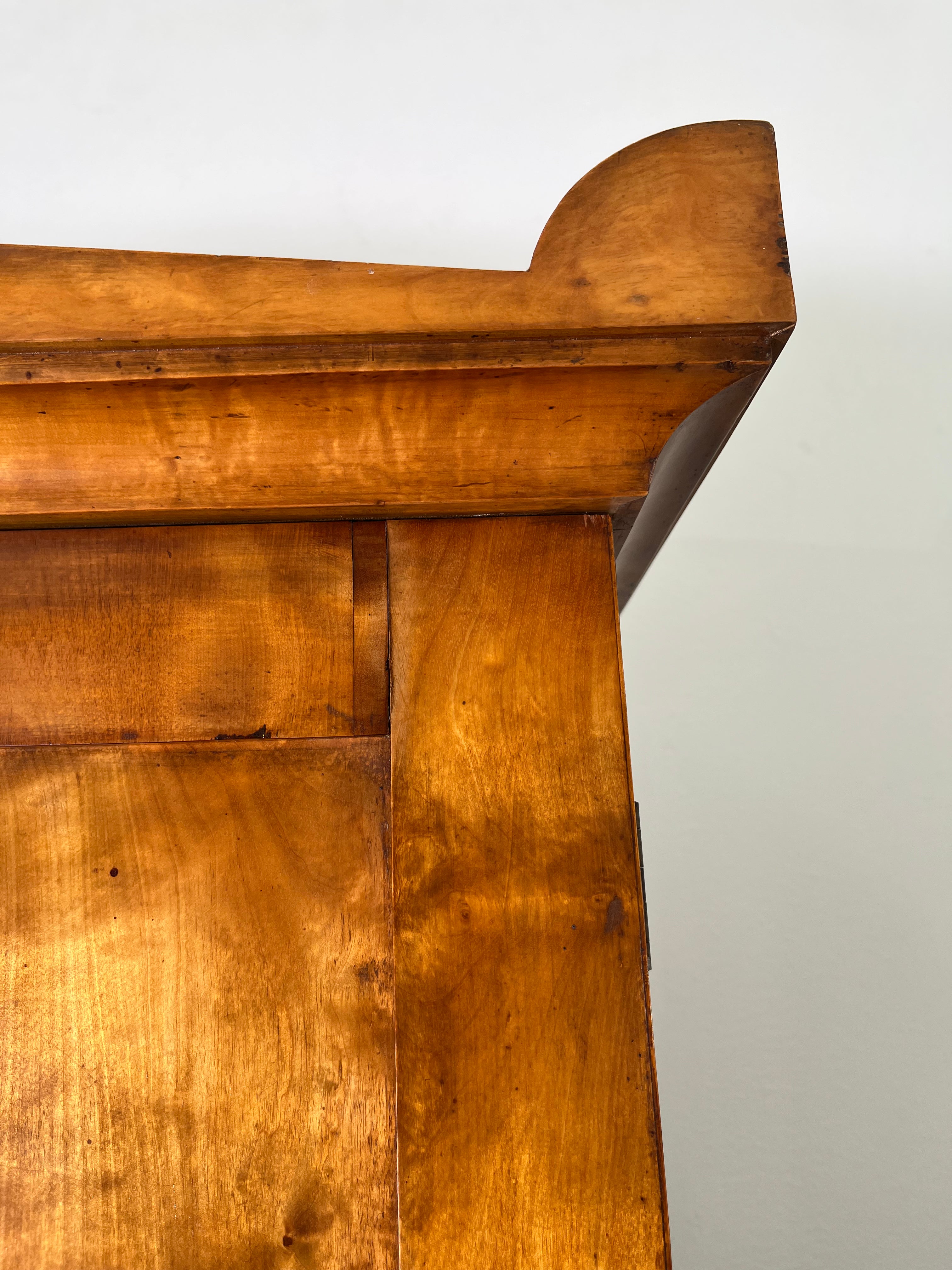 Swedish Biedermeier Cabinet in Burl Wood
