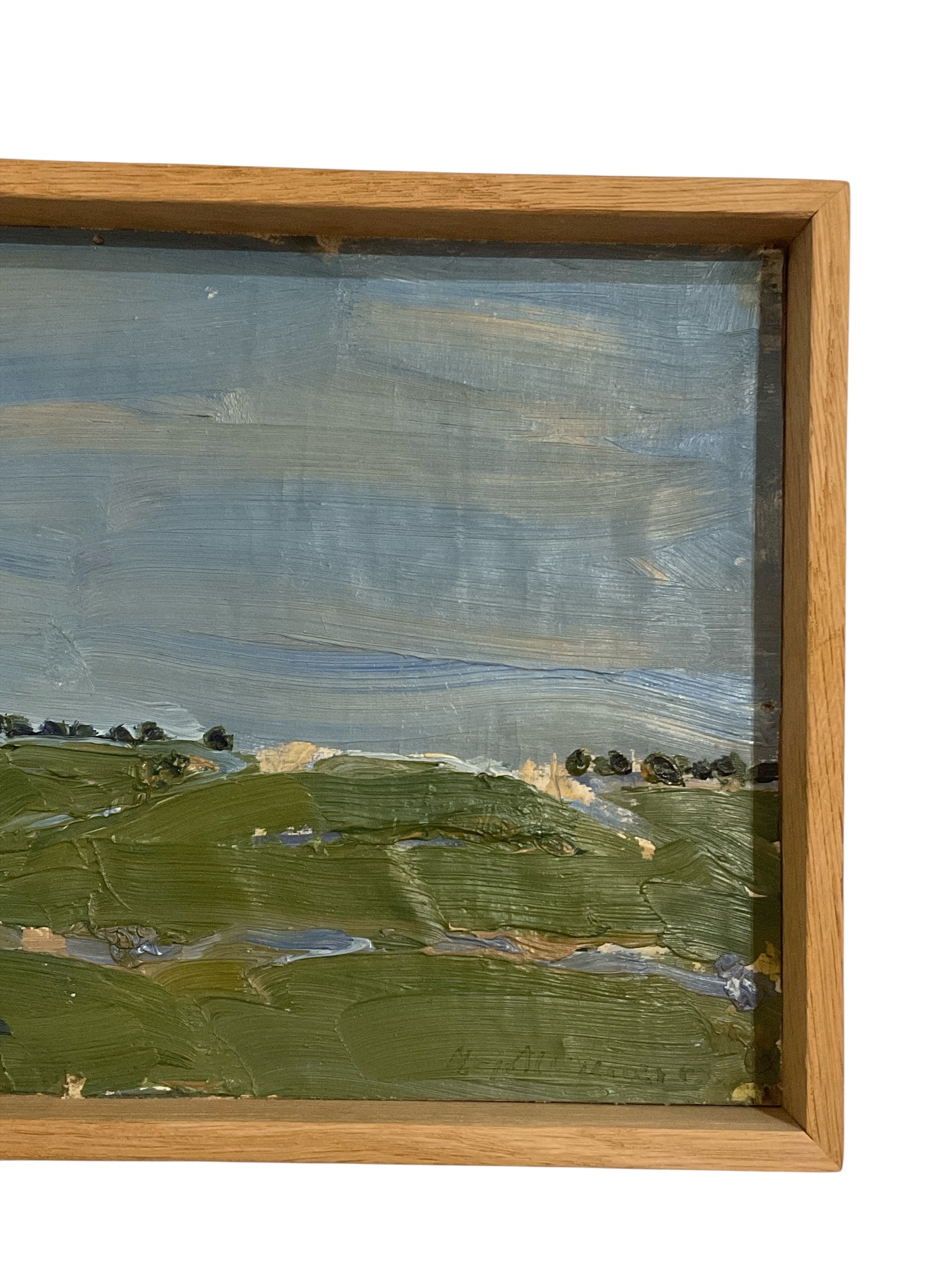 Small Danish Landscape