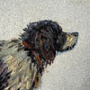 19th Century English Oil Painting of a Dog 76939