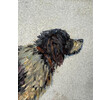 19th Century English Oil Painting of a Dog 76939