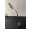 Exceptional 19th Century Gilt Wood Alter Flower 76604