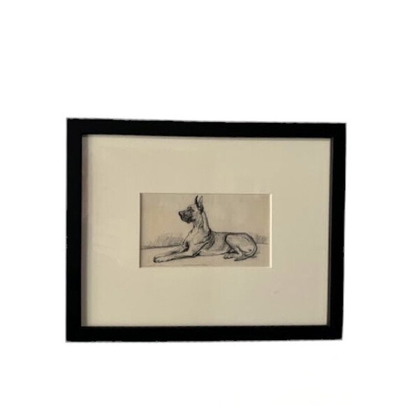 19th Century Sketch of Dog 75468