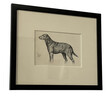 Set of (3) British Pen & Ink Dog Drawings 65918