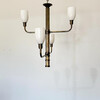 Limited Edition Bronze and Opaline Chandelier 75619