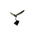 19th Century Stone Bird on Iron Stand 74857