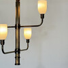 Limited Edition Bronze and Opaline Chandelier 77613