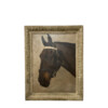 1940's English Portrait of a Horse 77292