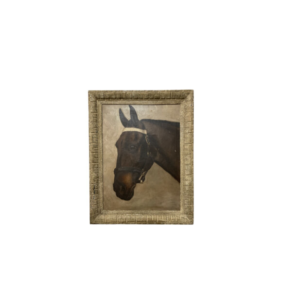 1940's English Portrait of a Horse 77292