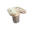 French Organic Burl Wood Side Table 47547