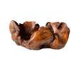 Organic Wooden Root Bowl 77602