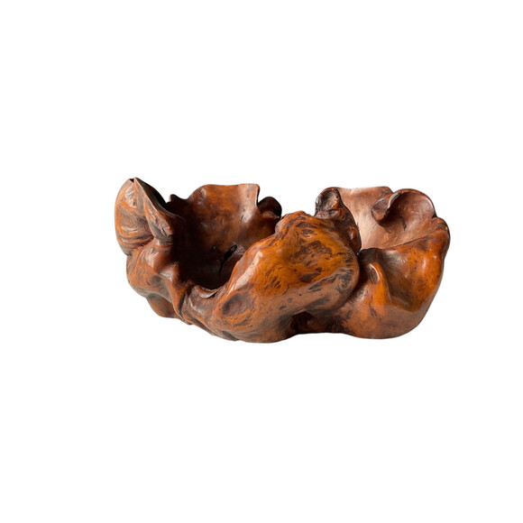 Organic Wooden Root Bowl 77602