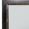 French 19th Century Ebonized Mirror 38597