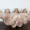 Huge French Carved Wood Shell 43337