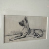 19th Century Sketch of Dog 75468