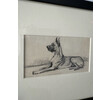 19th Century Sketch of Dog 75468