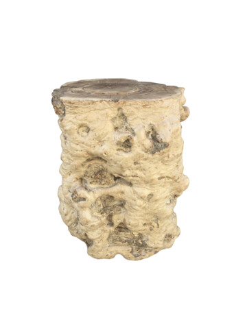 French Burl Wood Side Table 48985