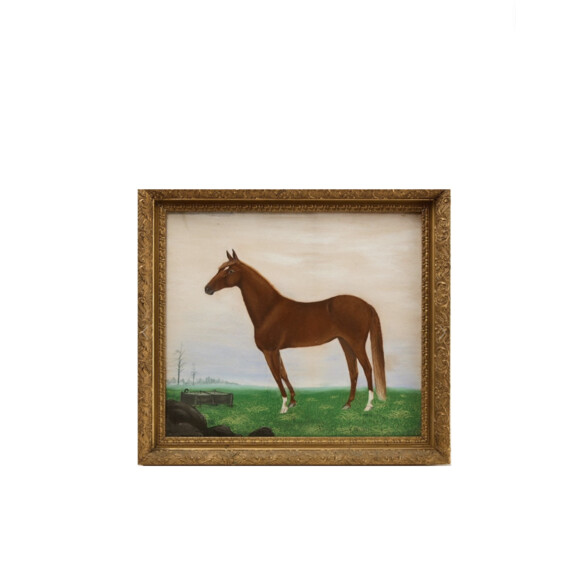 Fine Portrait of a Horse 