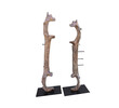 Pair of Limited Edition Sculptures 33234