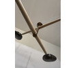 Lucca Studio Zander Chandelier 77755