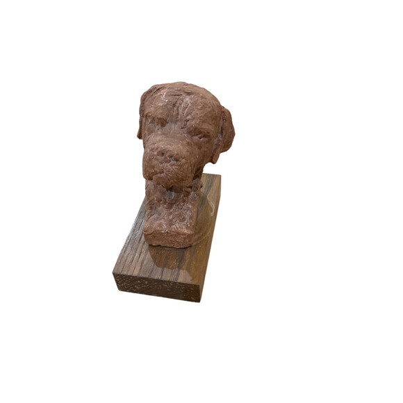 French Terra Cotta Dog Head Study 71541