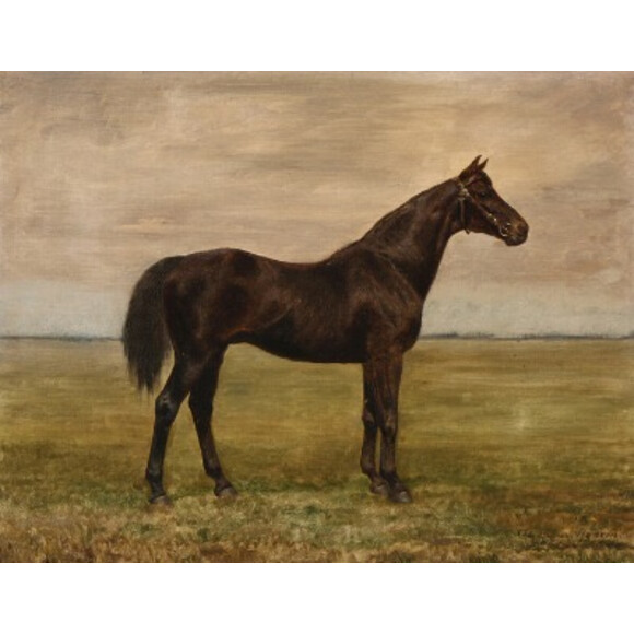 Danish Oil Painting of Black Horse in Field 36988