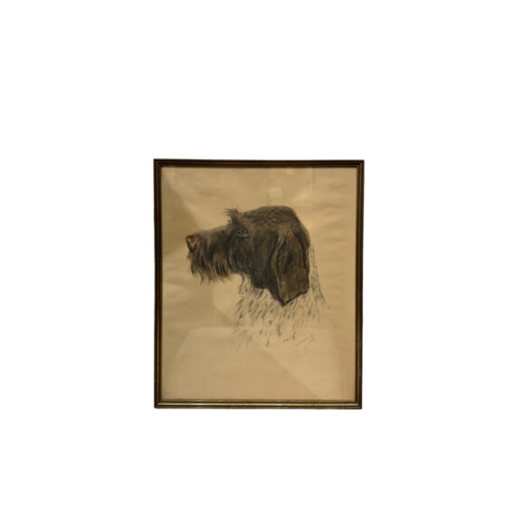 Swedish Dog Portrait in Pastel 77607