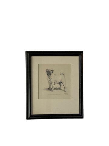 Gladys Emerson Cook Pencil Drawing of Bulldog 65913
