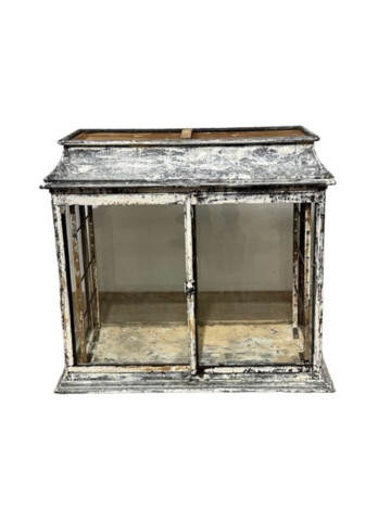 Rare French 19th Century Iron and Glass Cabinet 63652