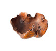 Organic Wooden Root Bowl 77602