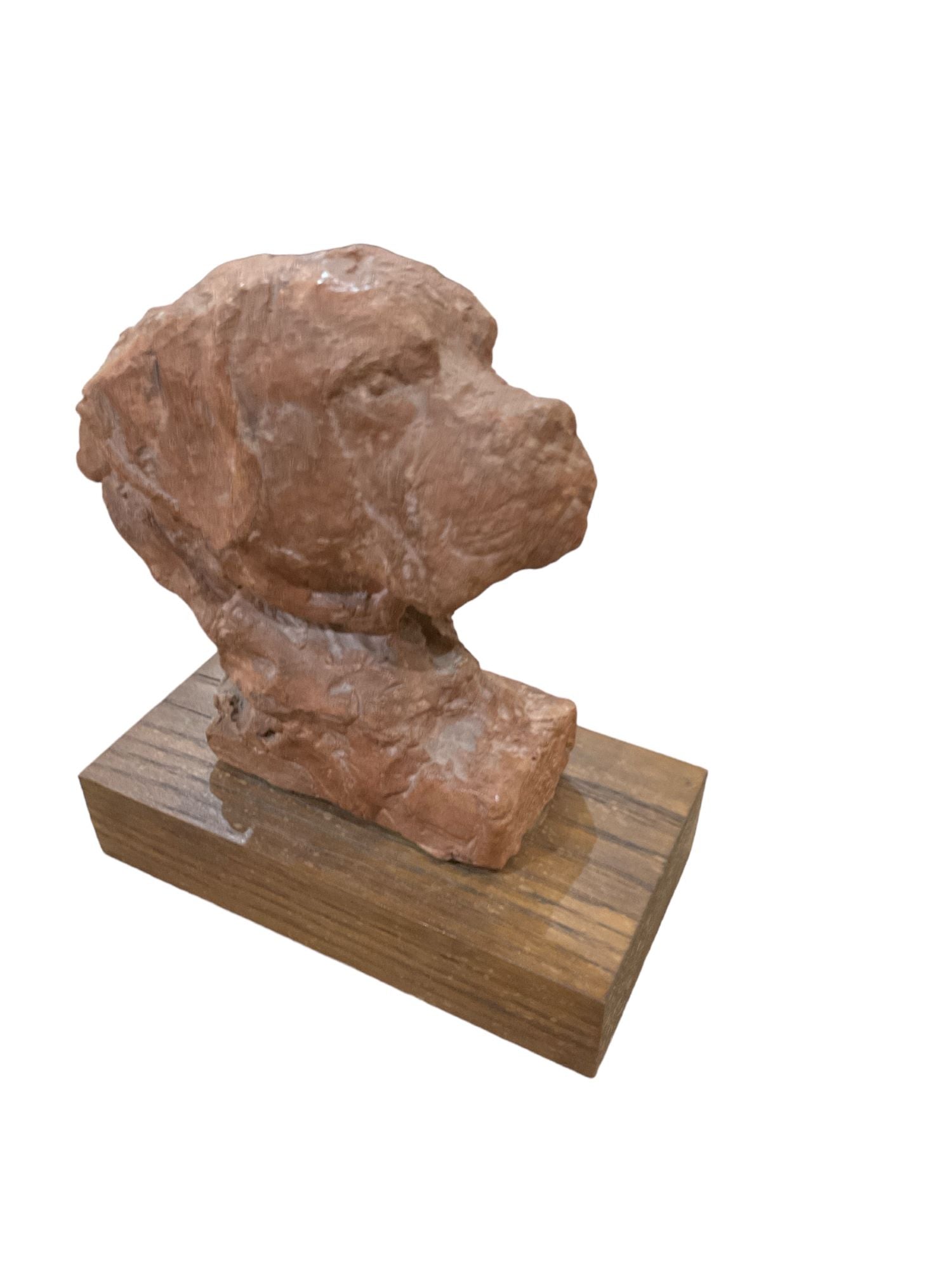 French Terra Cotta Dog Head Study