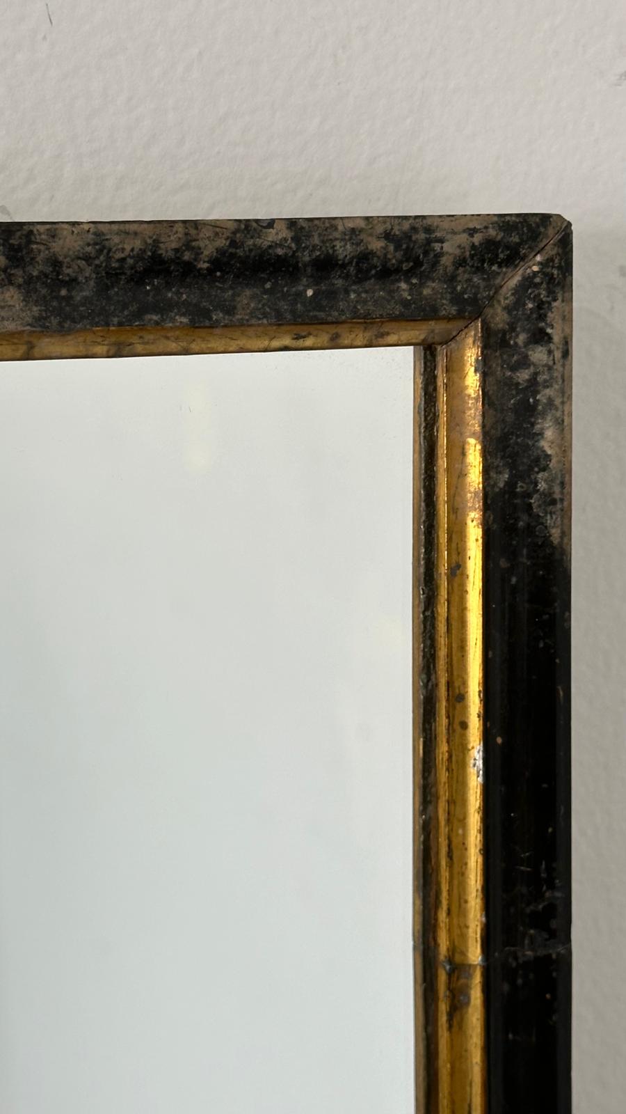 19th Century Spanish Ebonized Mirror