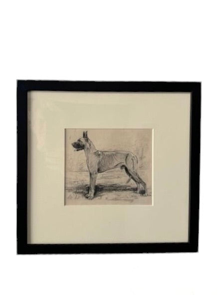 19th Century Sketch of Dog